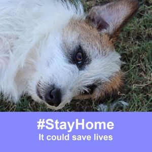 Meet your Posher, Jayne